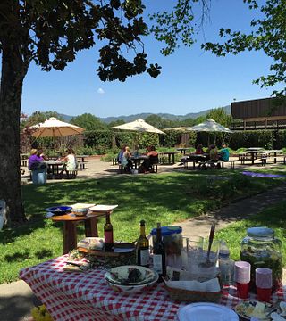 Barra of Mendocino Winery