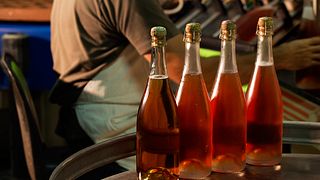 Weinprobe und Tour bei Champagne Legret & Fils