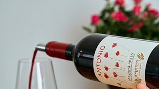 Vin- och olivoljaprovning på Amarsi