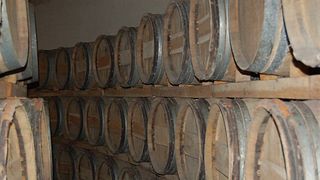 Weinprobe und Tour im Scv Du Chateau Segue Longue Monnier 