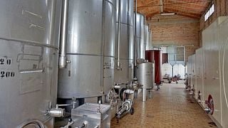 Vinprovning på Castello di Selvole