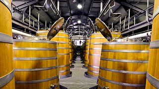 Degustazione e tour presso Capaia Wines