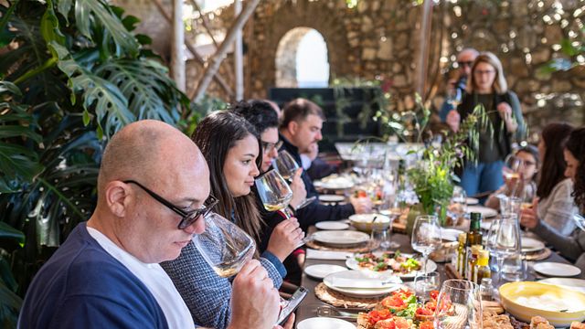 Dégustation de vins et visite du vignoble