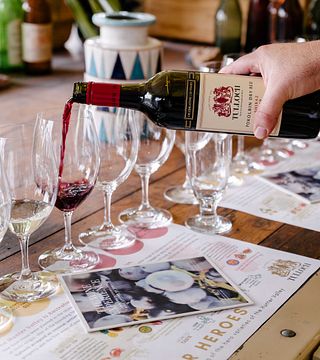 Tulloch Wines - Experiência de degustação de vinhos Hunter Heroes com queijos e charcutaria locais