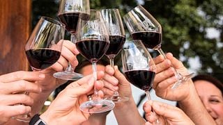 Degustazione di vini e tour a Perdeberg