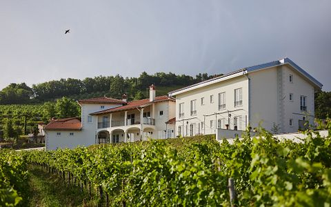 Villa de lujo de uso exclusivo-Peterc Vineyard Estate