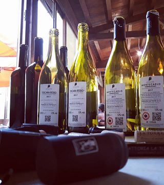 Vinprovning och rundtur på Fattoria La Torre