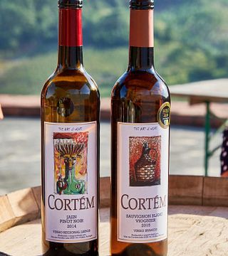 Vinhos Cortém : visite du vignoble et dégustation de 6 vins avec collations
