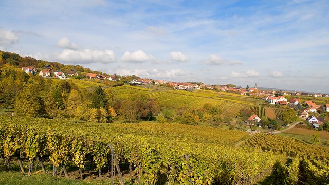 Domaine Heywang