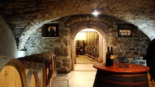 Cata de vinos y visita a la bodega Petrič