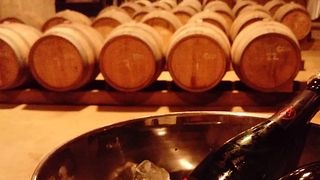 Degustazione di vini e visita al Montau De Sadurní