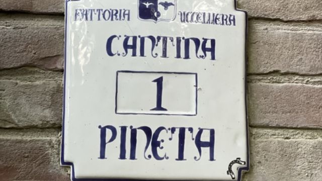 Cata guiada "Escuchar el vino"
