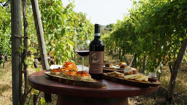 Private Wine Tasting & Lunch in the Vesuvius Vineyard at  Le Lune del Vesuvio