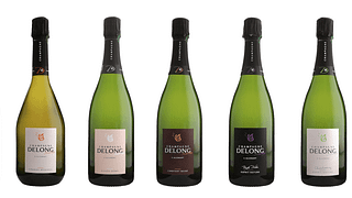 Champagne Delong Marlene