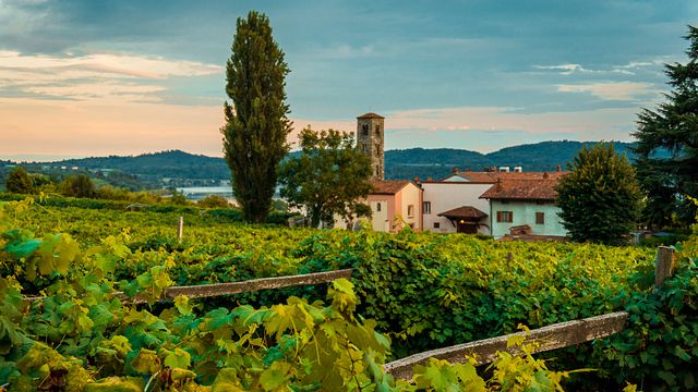 Cella Grande Winery