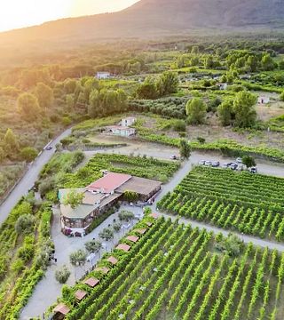 Sorrentino Vesuvio Winery
