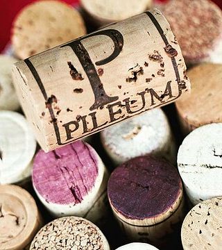 Lazio Wine Journey at Pileum Winery