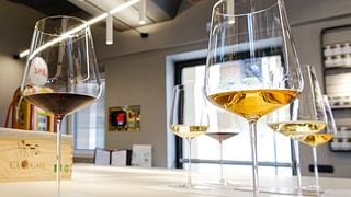 Private Tour 100% Garganega Experience