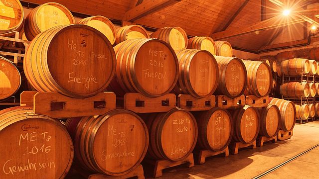 Weinprobe und Führung im Weingut Birgit Braunstein