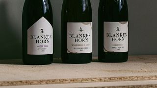 Weingut Blankenhorn