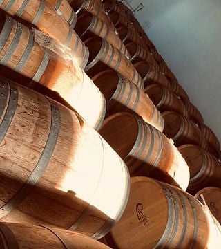 Dégustation de vins et visite à l'Azienda Vitivinicola Tola