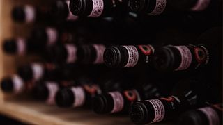 Organic Wine & Olive Oil Tasting with bread bites at Le Filigare