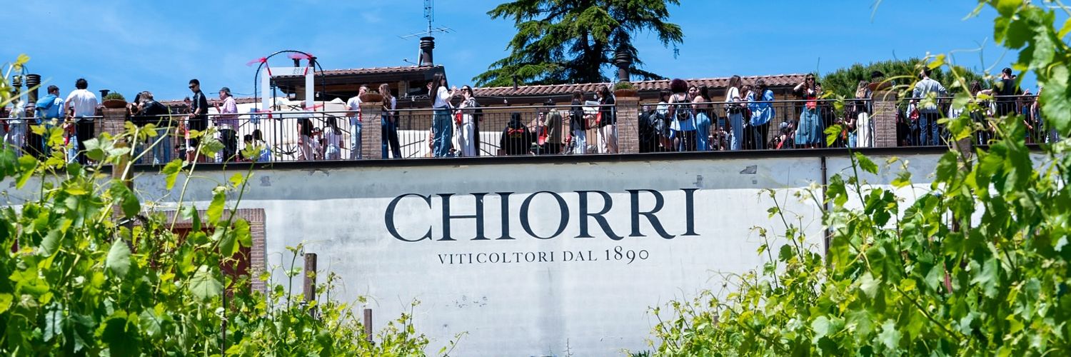 Chiorri 7 Wt2025