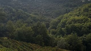 Édition spéciale Eleuteria : une expérience œnologique intemporelle