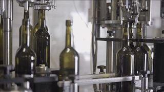 Klassische Weinverkostung und Führung im Margarethenhof - Weingut Weber