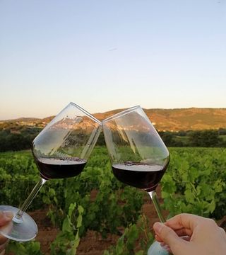 Une dégustation de vins très typique au cœur de la Sardaigne | Cantina Mussennore Mamoiada