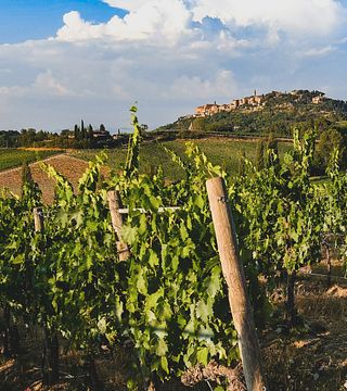 Vecchia Cantina Di Montepulciano