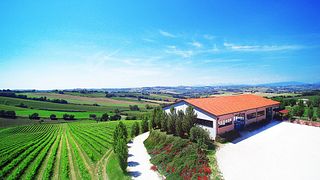 Bruscia Vini
