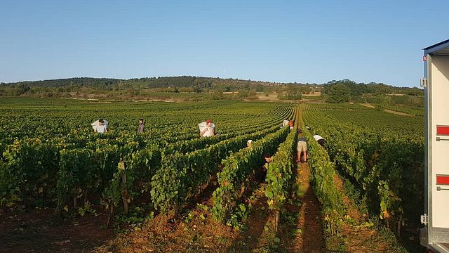 Cata de vinos "Seducción" con delicias locales y visita a La Table De Pierre Bourée