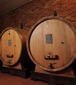 Piedmont Wine & Vineyard Tour at Dosio