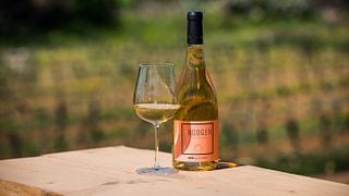 Degustazione di vini e tour dei vigneti e delle cantine presso Finca Mas Perdut