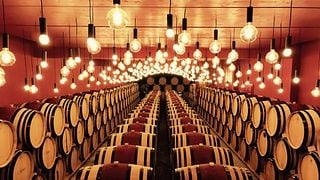 Tour de aperitivos e degustação de vinhos Valaisan no Domaine Jean-René Germanier