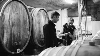Rheinhessen Wine & Vineyard Escape at Weingut Lisa Bunn