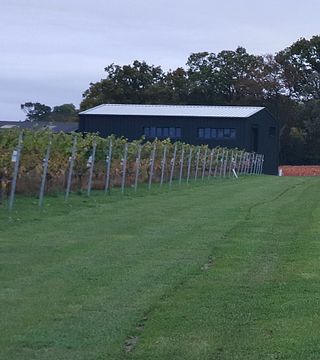 Vineyard tour and wine tasting experience