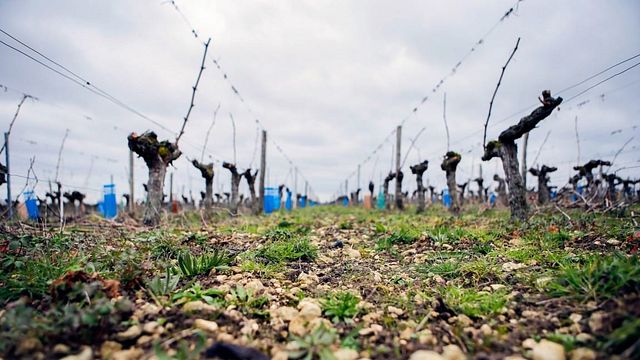 Degustazione e tour nella Valle delle Ferle