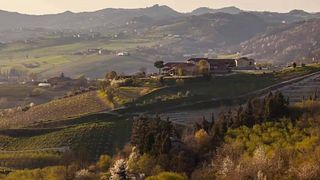 Wine tasting and tour at Azienda Agricola Tenuta Capri