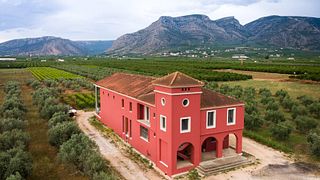Dégustation de vins et visite de la cave Koroniotis