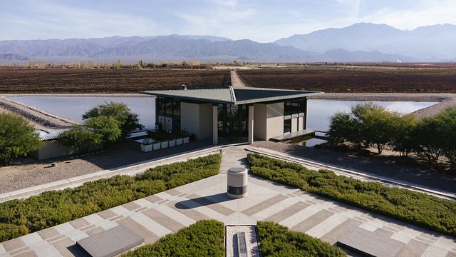 Bodega Alfa Crux