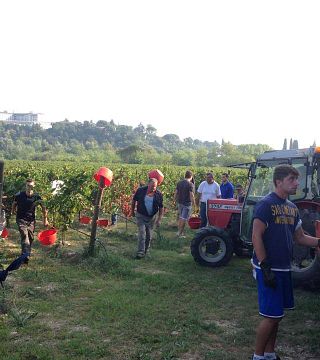 Degustação de vinhos e tour em Costaripa