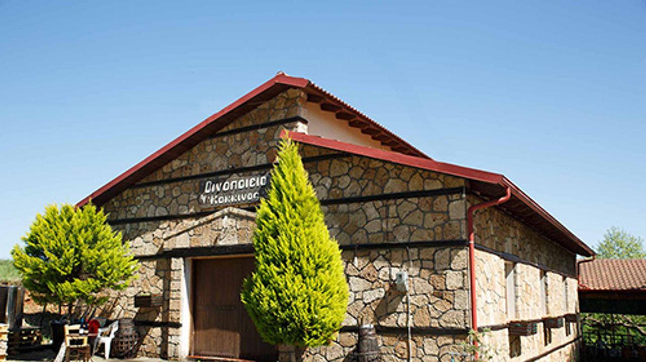Visite guidée du domaine viticole Kokkinos à Naoussa (prise en charge à Thessalonique)