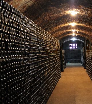 Parés Baltà Winery
