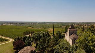 Tour e degustação de vinhedos no Château de Haute-Serre