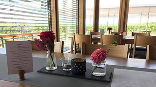 Degustazione di vini e visita alla Weingut Schreiber