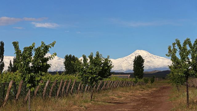 Cata de vinos y tour en Bodega Alpamanta