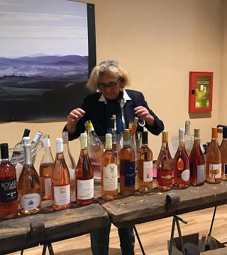 Degustação de vinhos e tour em Casavyc