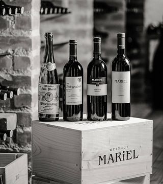 Mariel Winery